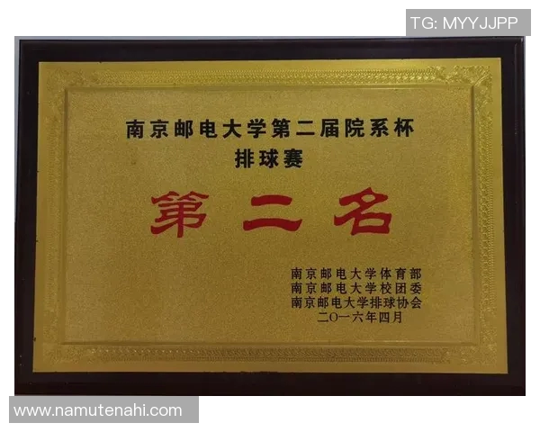 南京排球队耐力研究：提升竞技水平的关键因素分析与探讨